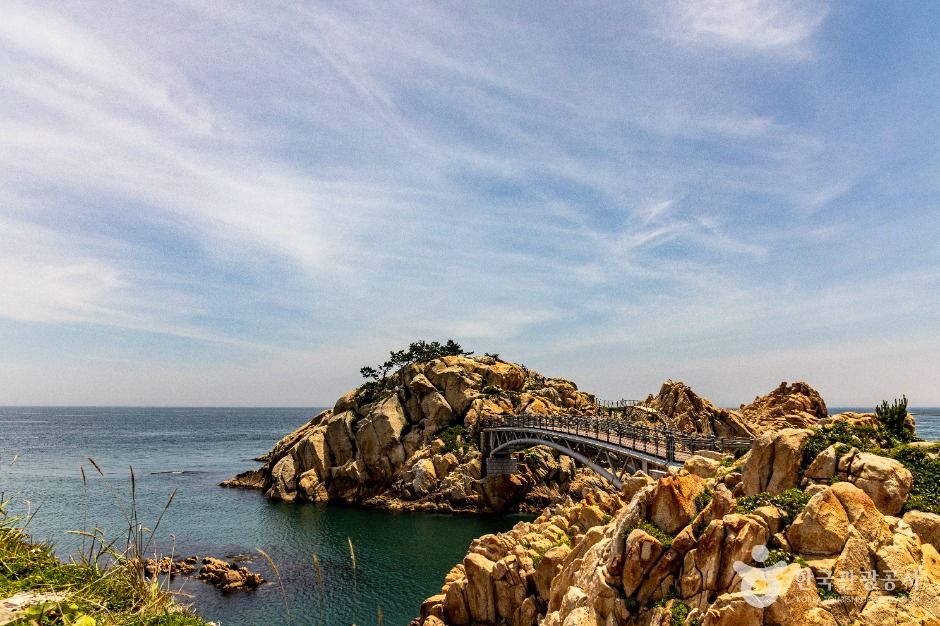 울산 대왕암공원 수국